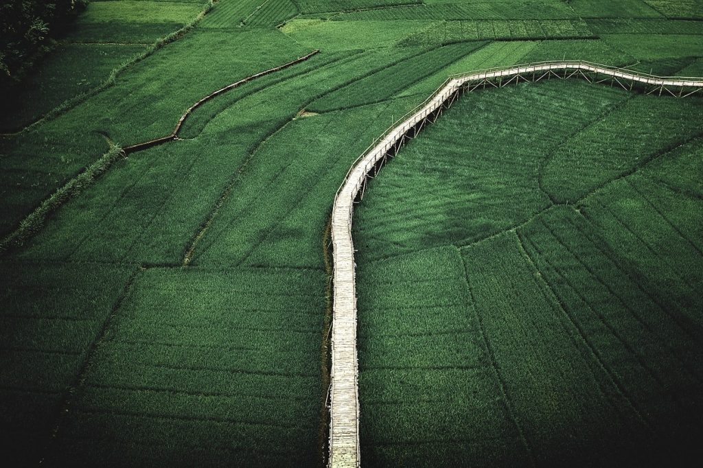 postupak uređenja međa
