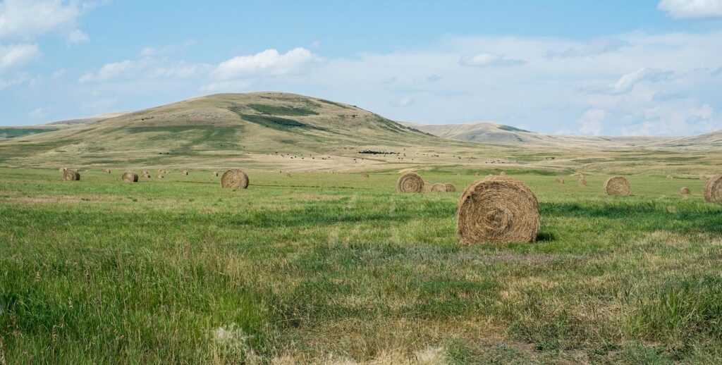 Poljoprivredno zemljište čakovec